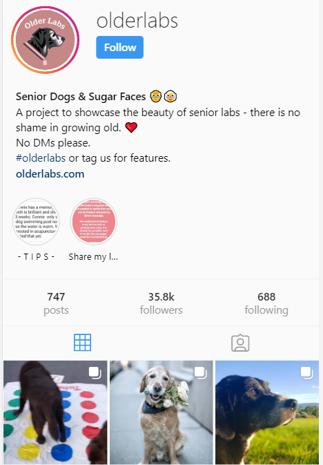 olderlabs-instagram
