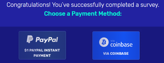 Surveytime payments