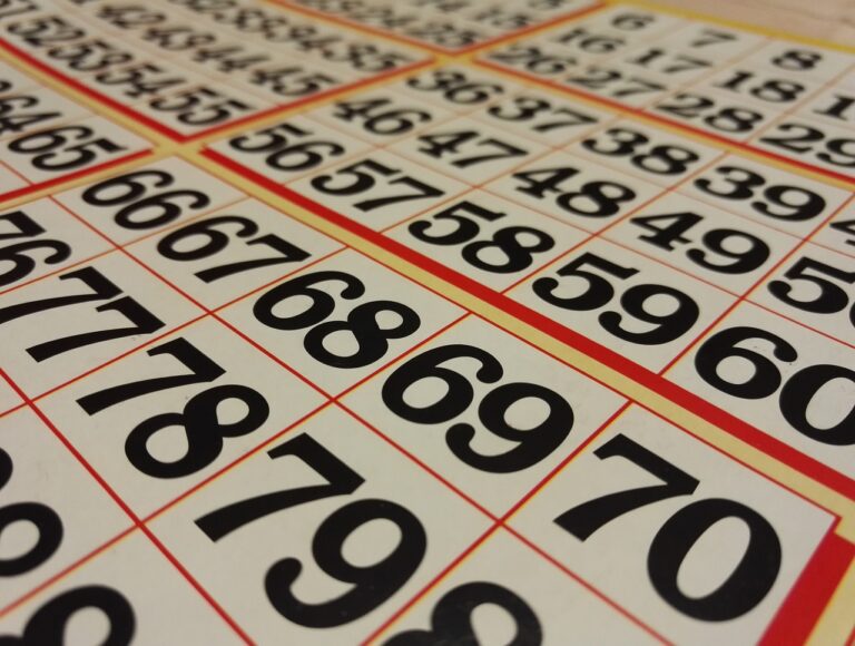 8 Bingo Tour Cheats & Tips To Help You Win More Games