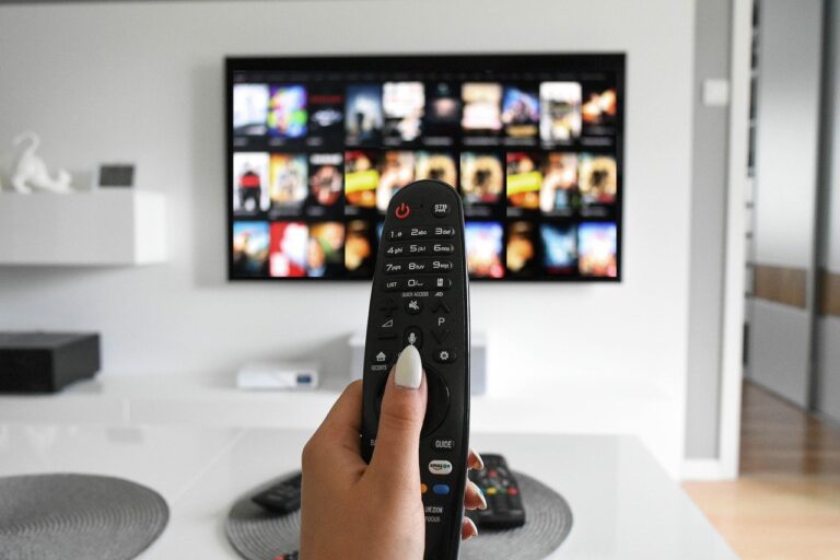 How To Get Paid To Watch Netflix – 7 Best Methods For 2024